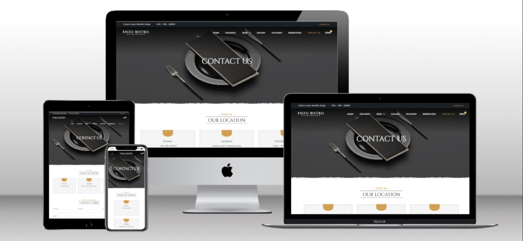Screenshot of Enzo Contact us section on Enzo website
