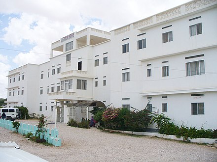 Modern hospital exterior showcasing a professional healthcare website design in Kenya for improved patient access and trust.