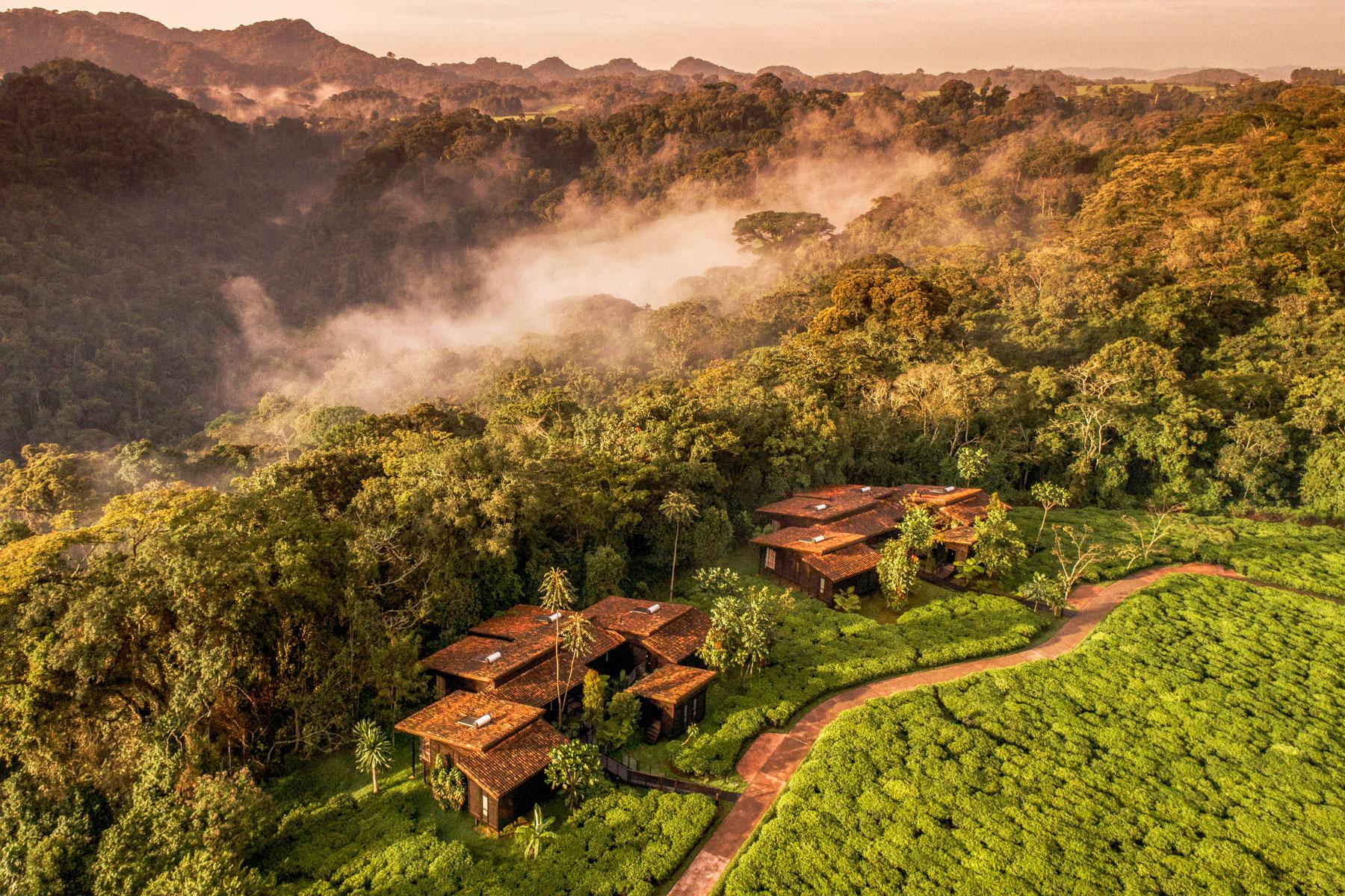 Modern hotel website design showcasing a stunning Kenyan lodge, ideal for attracting online bookings and enhancing guest experience.