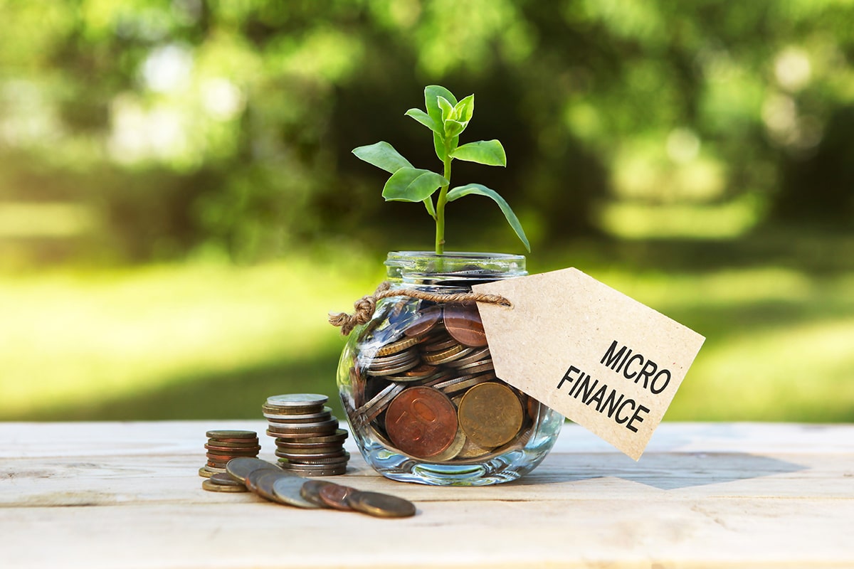 Glass jar with coins and a plant, symbolizing growth and savings for SACCO and microfinance websites in Kenya.