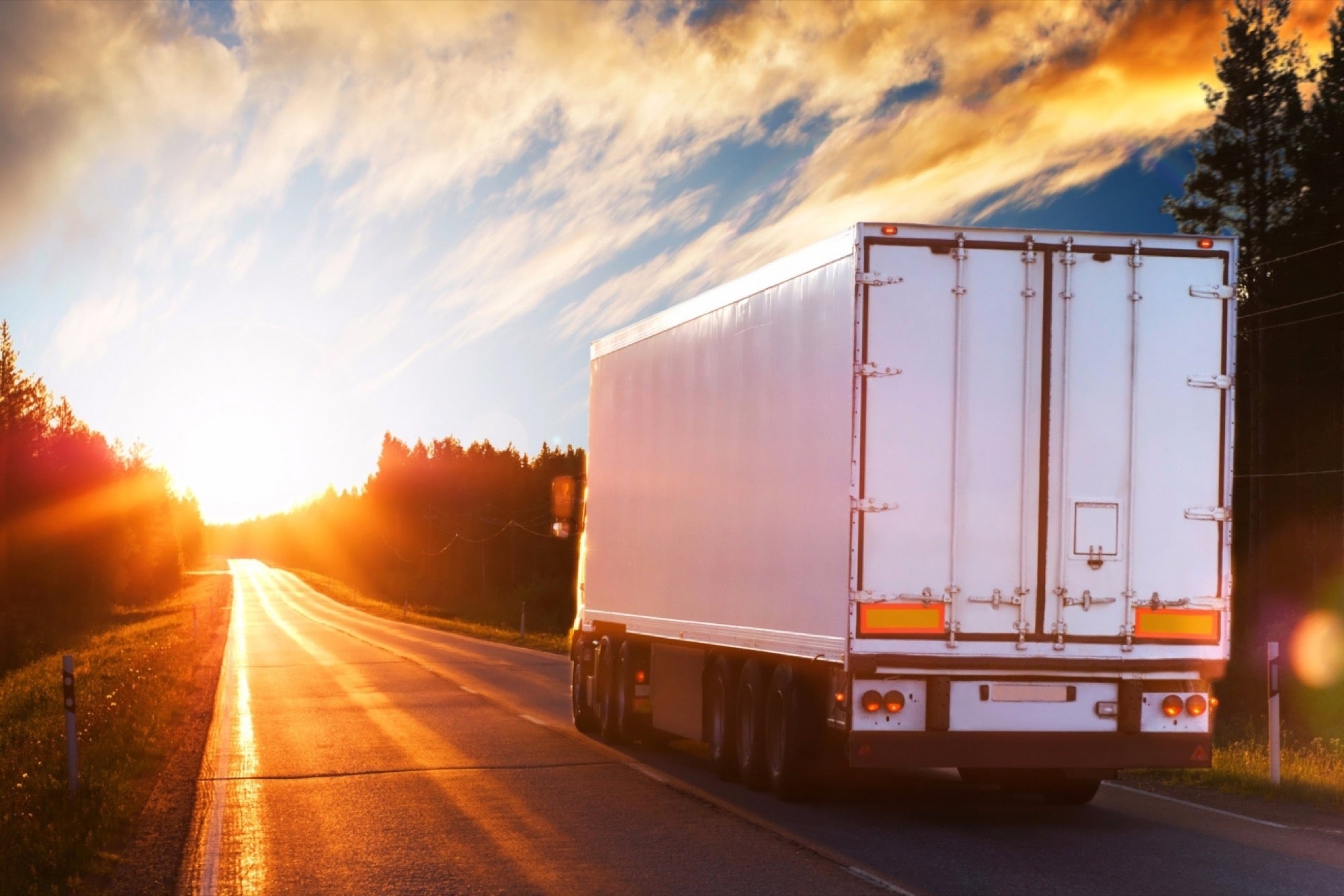 Responsive transport company website design in Kenya showcasing fleet options for logistics and courier services.