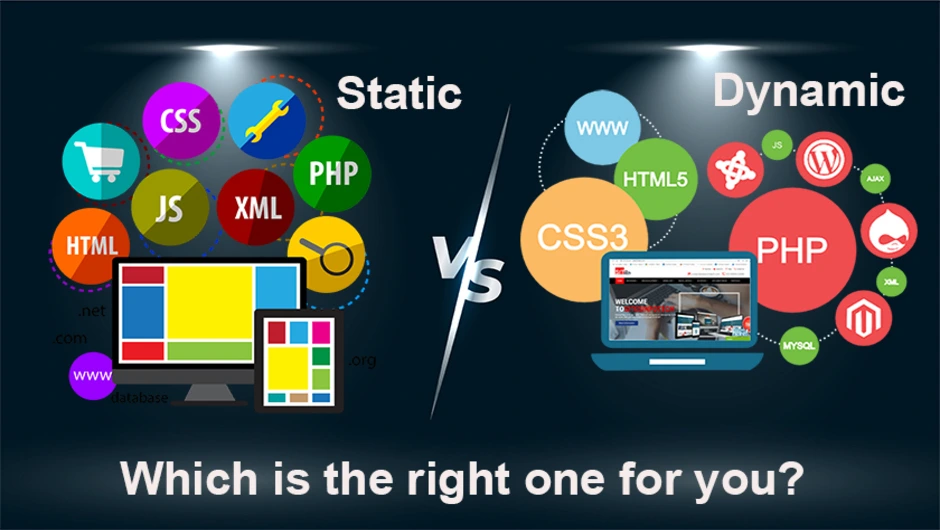 Static vs. Dynamic Websites: Which Is Right for Your Business