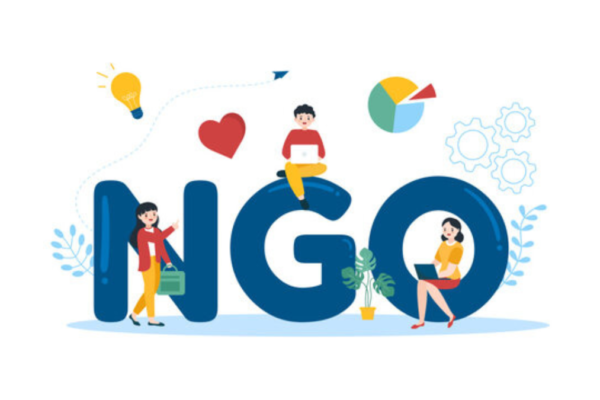 NGO Website Solutions Nairobi | Evaluation Guide