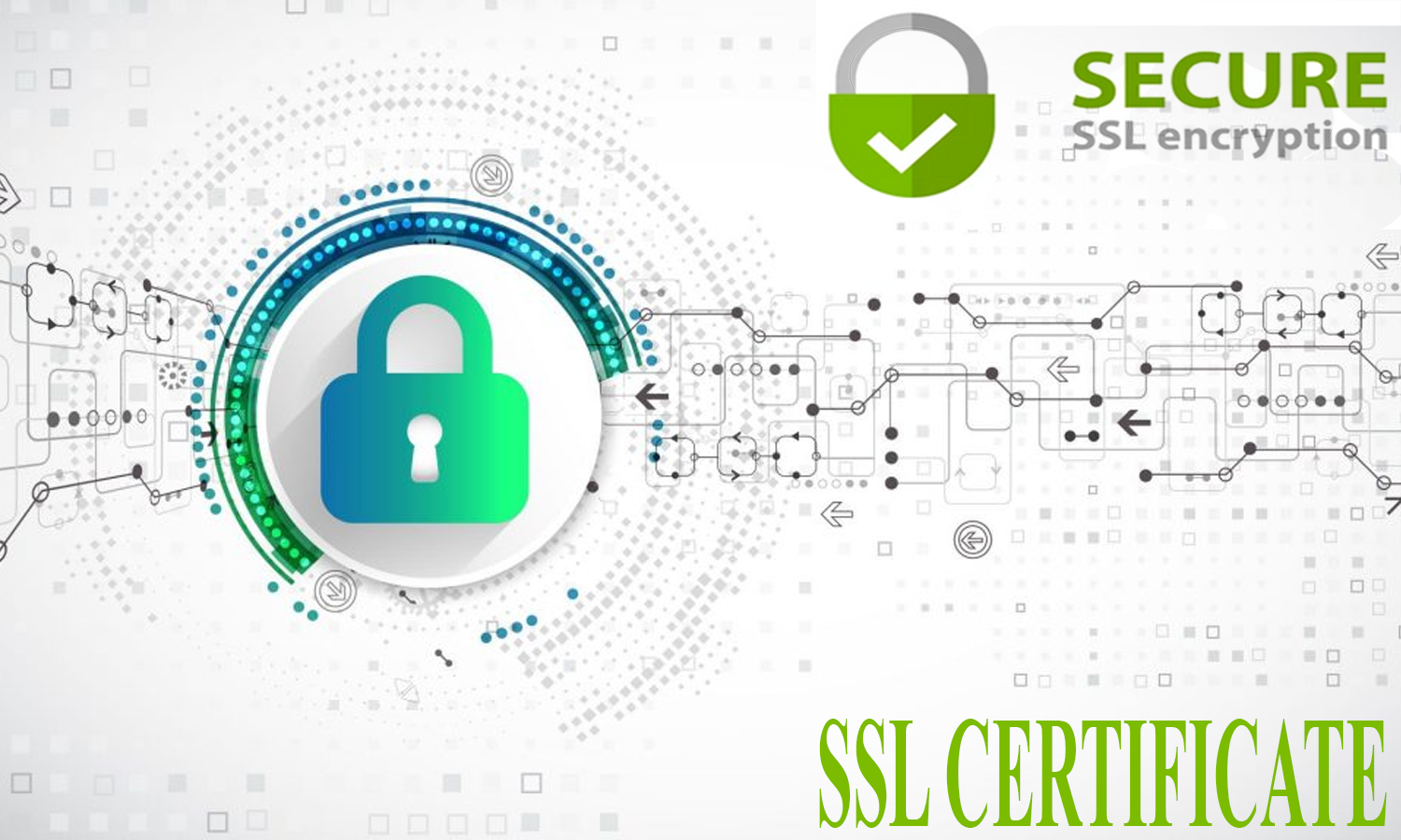 The Importance of SSL Certificates for Kenyan Busine | Nelium